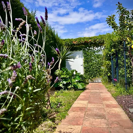 Sitges Garden