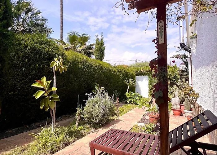 Garden *