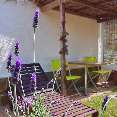Apartment Sitges Garden