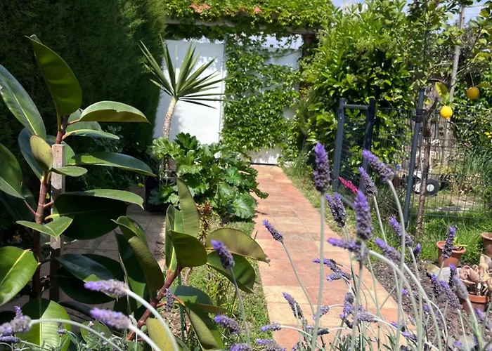 Garden * سيدجيس